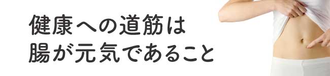 健康への道筋は腸が元気であること