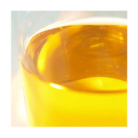 乳酸菌生産物質