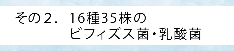 その2.16種35株のビフィズス菌・乳酸菌