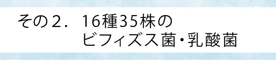 その2.16種35株のビフィズス菌・乳酸菌