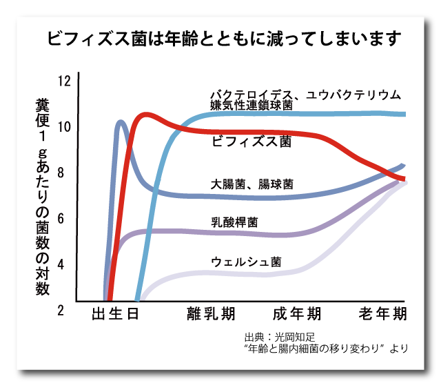 年齢と腸内細菌の移り変わり.png