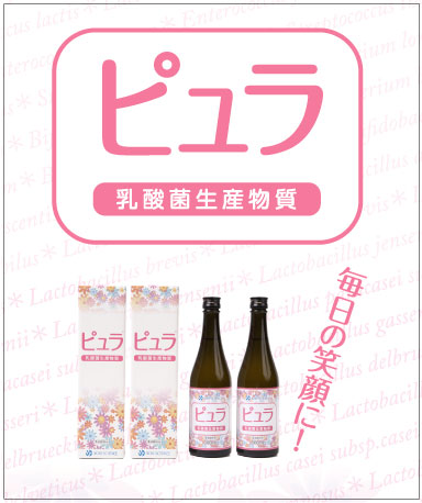 乳酸菌生産物質　ピュラ