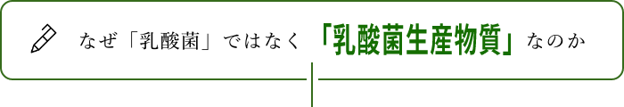 なぜ「乳酸菌」ではなく「乳酸菌生産物質」なのか